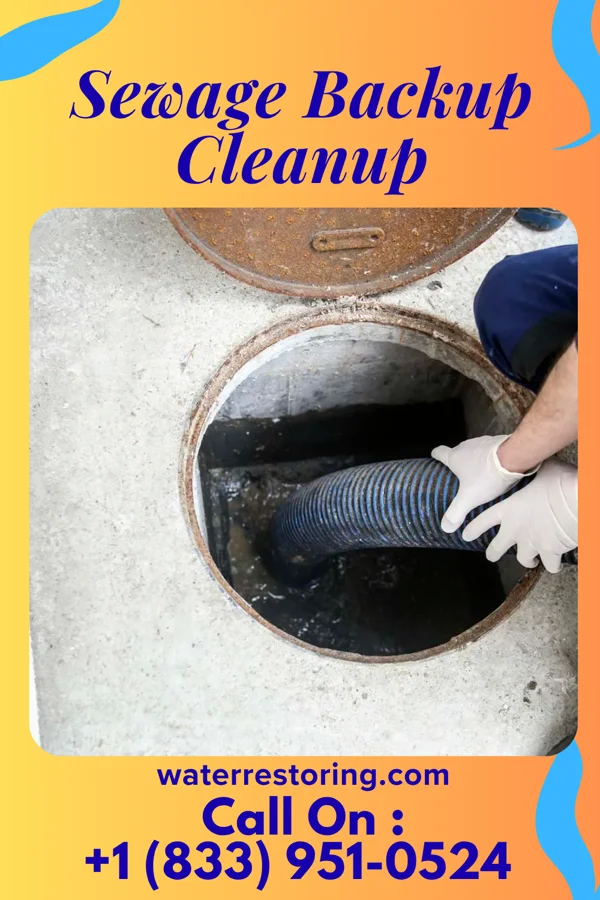 Sewage Backup Cleanup in Rock Creek, AL